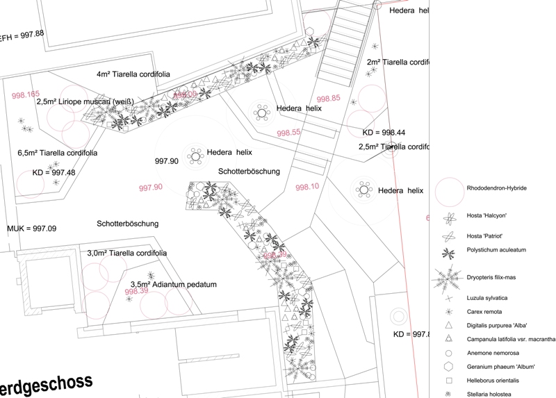 140217 Pflanzplan 1 25
