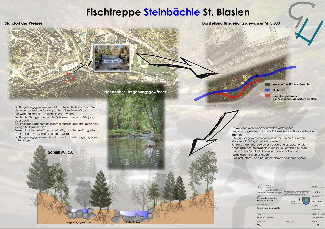 St. Blasien Fischtreppe Entwurf