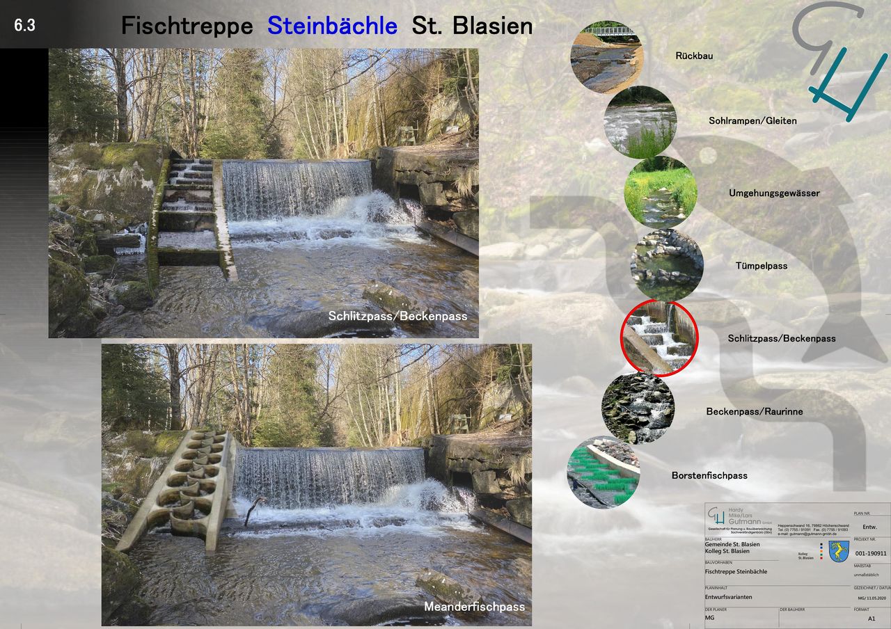 St. Blasien Fischtreppe Entwurf